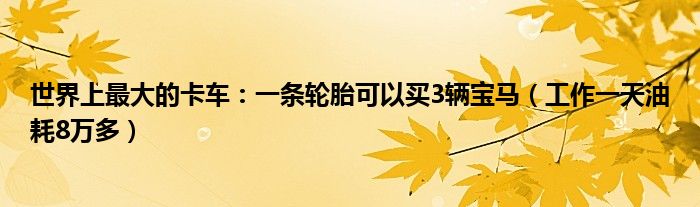 天下上最大的卡车：一条轮胎可能买3辆宝马（事情一天油耗8万众）乐鱼电竞(图1)