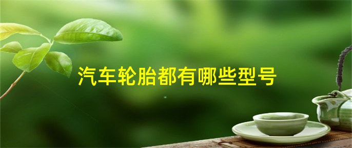 乐鱼电竞汽车轮胎都有哪些型号(图1)